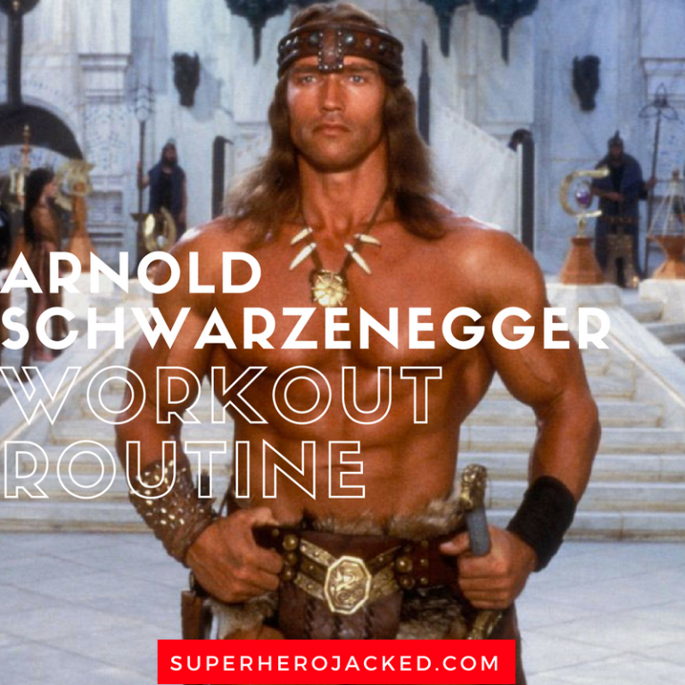 32 15 Minute Arnold schwarzenegger workout book pdf free download for ABS