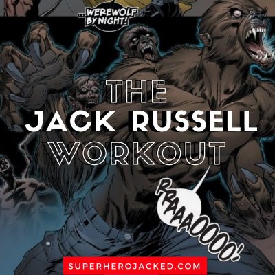 Jack Russell Workout and Diet