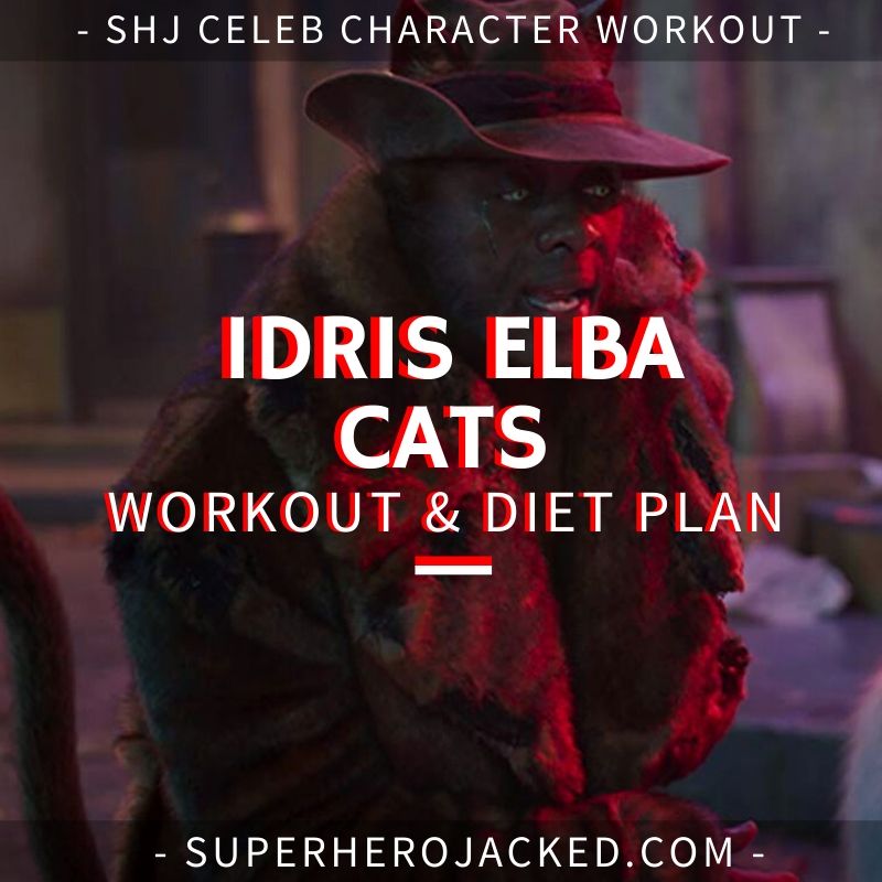 Idris Elba Cats Workout and Diet