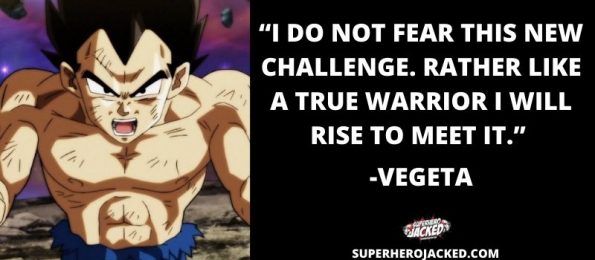 Vegeta Quotes: Top Vegeta Quotes for Fitness Motivation!