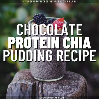 chocolate chia pudding protein recipe