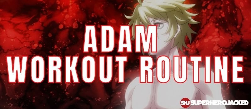 Adam Workout Routine
