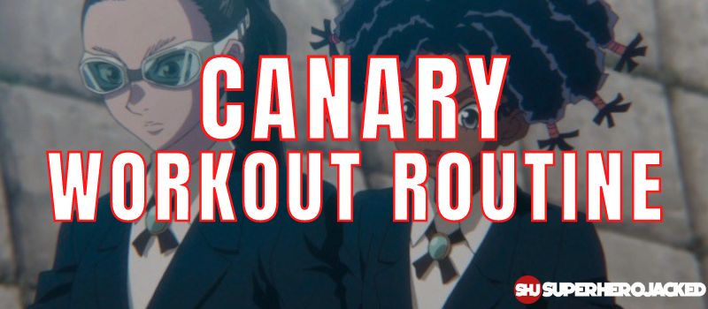 Canary Workout Routine