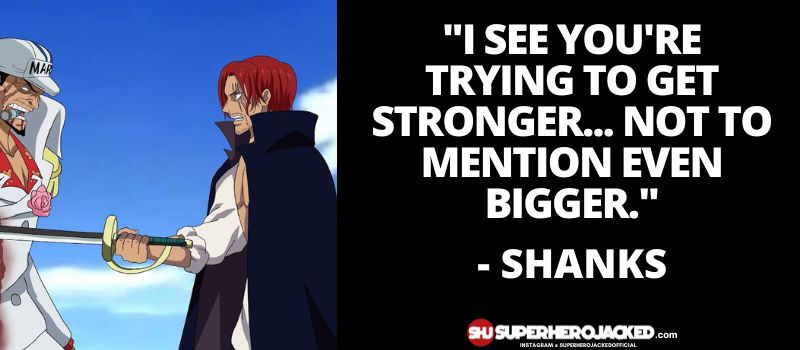 Shanks Quotes 9
